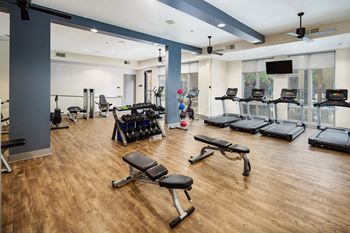 A gym with treadmills, weights, and exercise equipment.